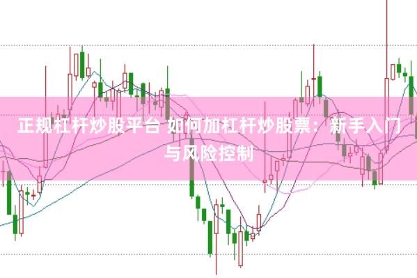 正规杠杆炒股平台 如何加杠杆炒股票：新手入门与风险控制