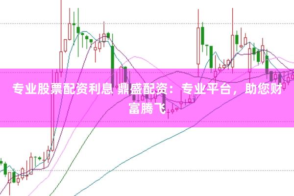 专业股票配资利息 鼎盛配资：专业平台，助您财富腾飞