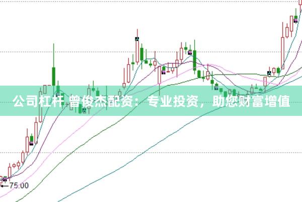 公司杠杆 曾俊杰配资：专业投资，助您财富增值