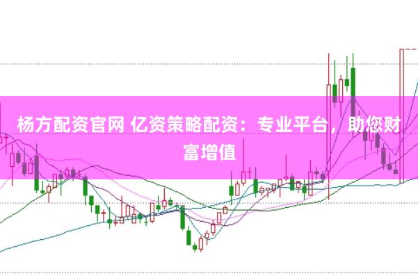 杨方配资官网 亿资策略配资：专业平台，助您财富增值