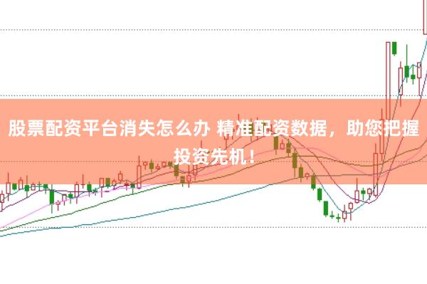 股票配资平台消失怎么办 精准配资数据，助您把握投资先机！