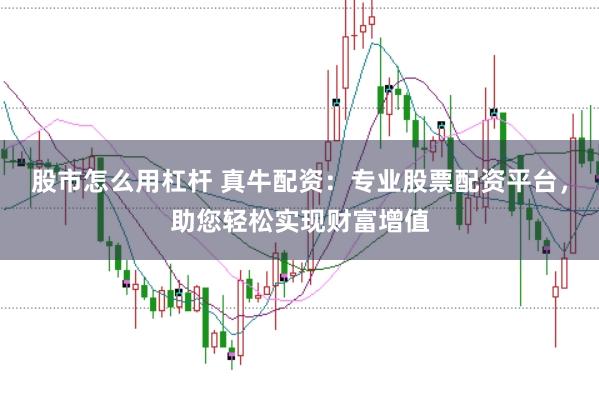 股市怎么用杠杆 真牛配资：专业股票配资平台，助您轻松实现财富增值