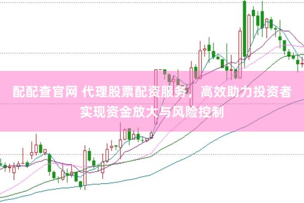 配配查官网 代理股票配资服务，高效助力投资者实现资金放大与风险控制