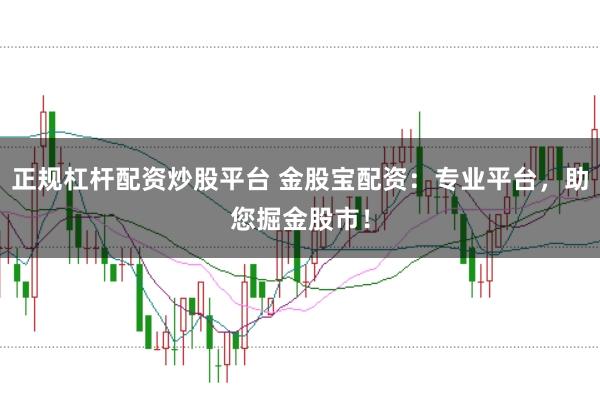 正规杠杆配资炒股平台 金股宝配资：专业平台，助您掘金股市！
