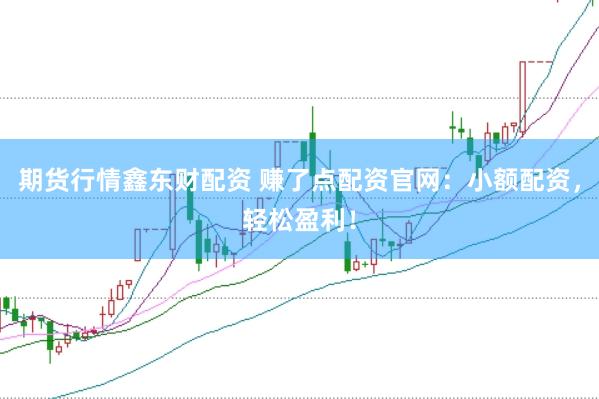 期货行情鑫东财配资 赚了点配资官网：小额配资，轻松盈利！