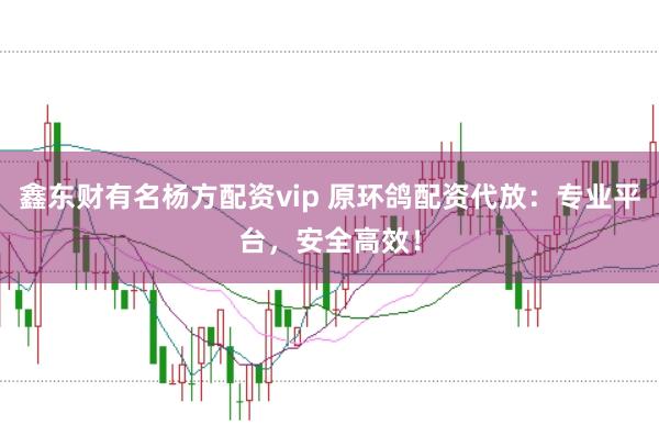 鑫东财有名杨方配资vip 原环鸽配资代放：专业平台，安全高效！