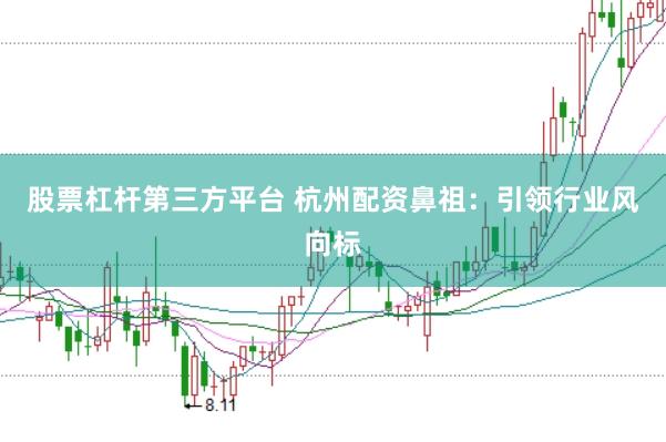 股票杠杆第三方平台 杭州配资鼻祖：引领行业风向标