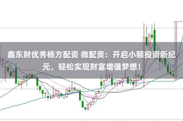 鑫东财优秀杨方配资 微配资：开启小额投资新纪元，轻松实现财富增值梦想！
