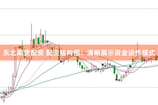 东北期货配资 配资结构图:清晰展示资金运作模式