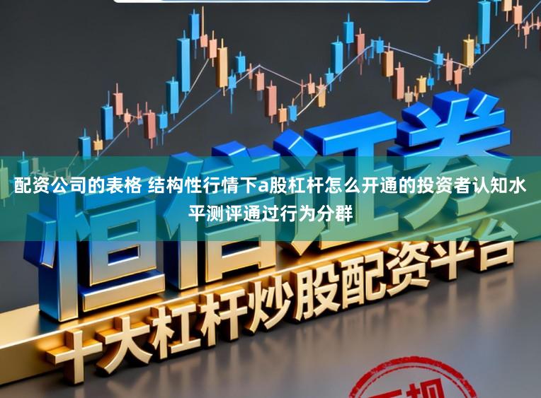 配资公司的表格 结构性行情下a股杠杆怎么开通的投资者认知水平测评通过行为分群