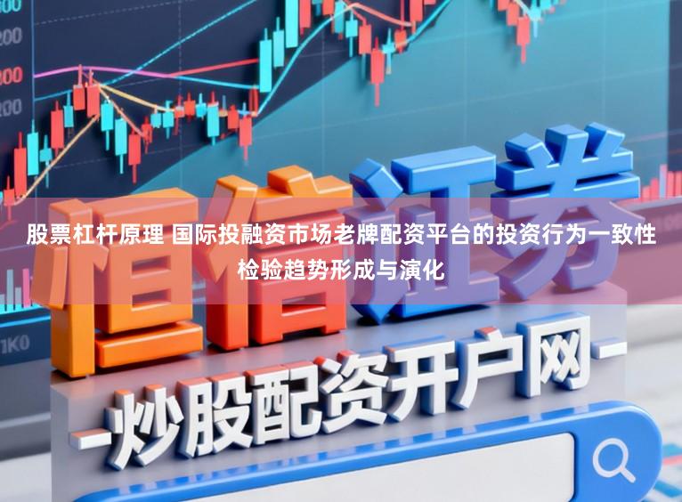 股票杠杆原理 国际投融资市场老牌配资平台的投资行为一致性检验趋势形成与演化